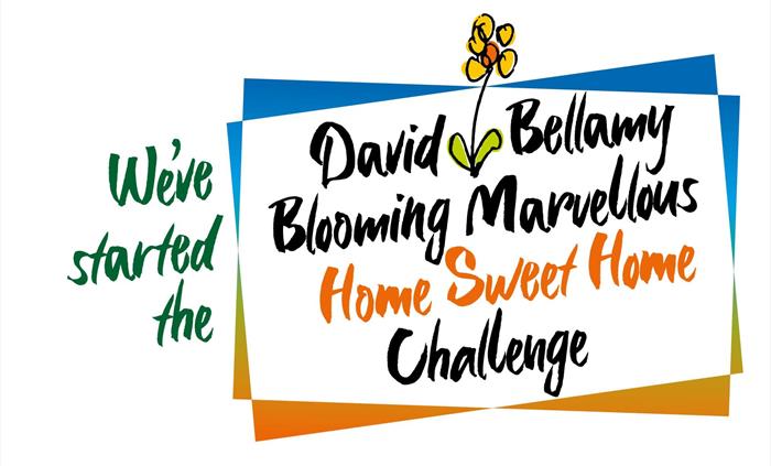 David Bellamy Award